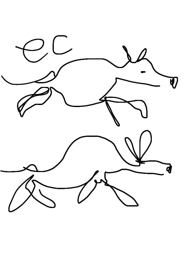 funny drawings of aardvarks